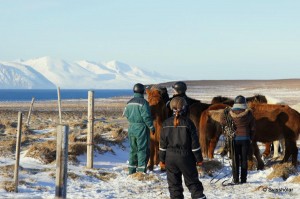 Kaldbakur Tour 2015 (2)